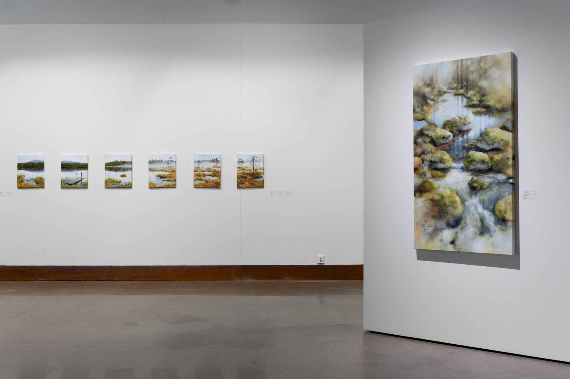 Maalausnäyttely, maisemataide seinällä