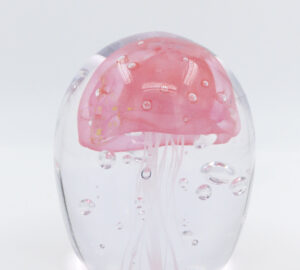 Meduusa, vaaleanpunainen
