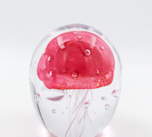 Meduusa, pinkki