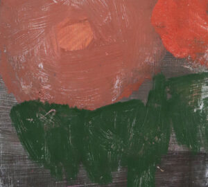 Amaryllis 3