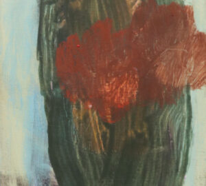 Amaryllis 2