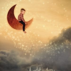 Moonflight 2/30