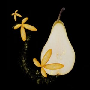 Pear and kumqvat