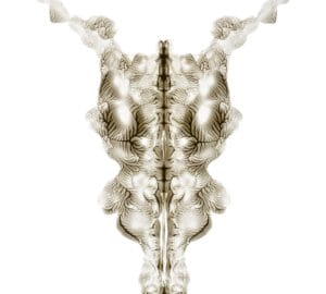 Lumière 1.1
