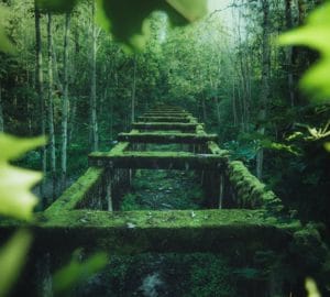 Old Aqueduct