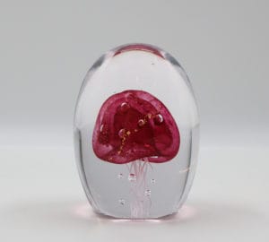 Pieni meduusa, pinkki