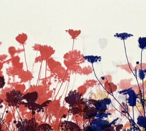 Rainbow Meadow 1