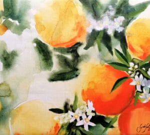 Appelsiininkukkia