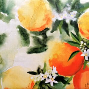 Appelsiininkukkia