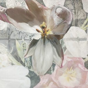 Valon maa – Kauneus