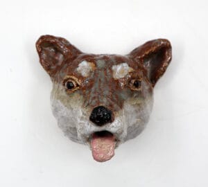 Kettuko vai Shiba
