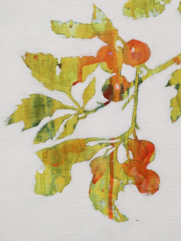 Värikäs oksa lehdillä ja hedelmillä taiteellisessa tyyli.