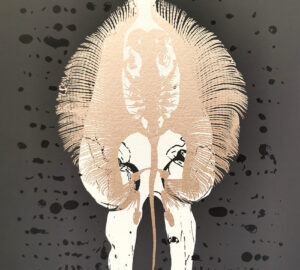 Graafinen kalkkarokäärme tausta mustilla pisteillä.