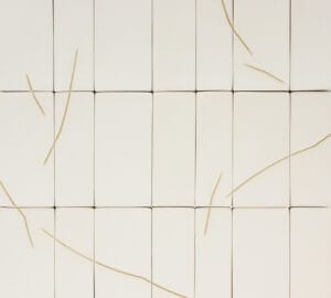 Rivi pahvilaatikoita, muutama oksa päällä.