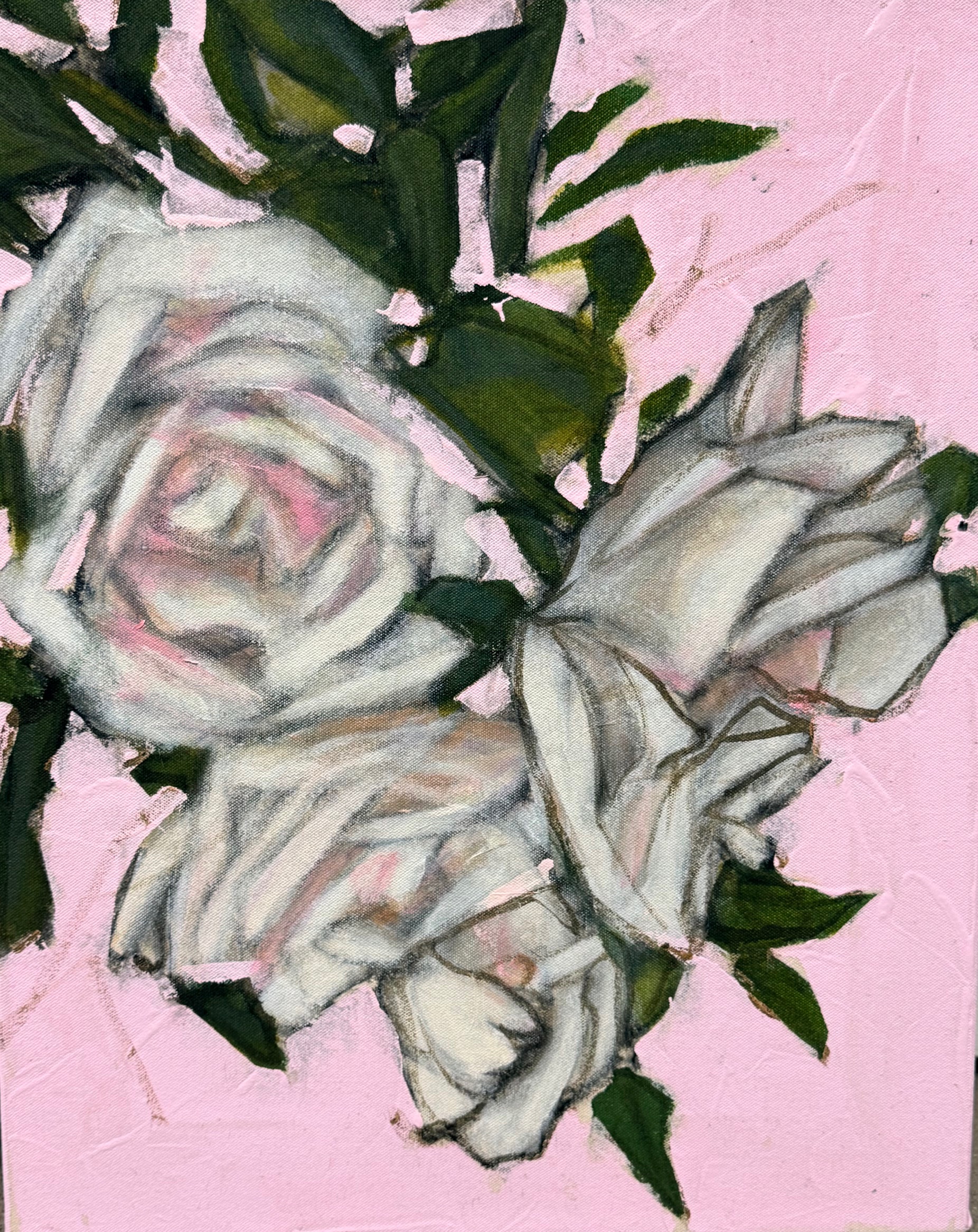 Valkoiset ruusut vaaleanpunaisella taustalla.