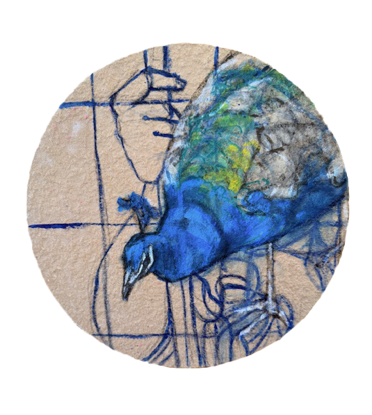 Sininen riikinkukko luonnos paperilla