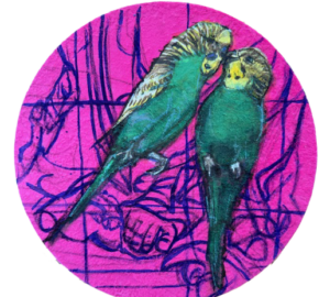 Kaksi papukaijaa kirkkaan pinkillä taustalla.