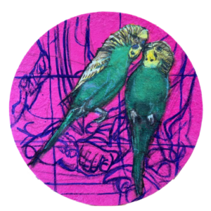 Kaksi papukaijaa kirkkaan pinkillä taustalla.