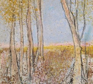 Syksyinen maisema puita ja värikkäitä lehtiä