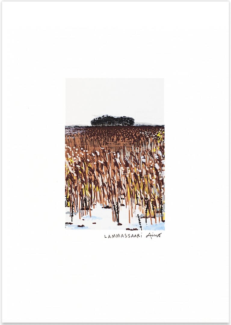 Lammasaaren ruskea kaislikko ja luminen maisema