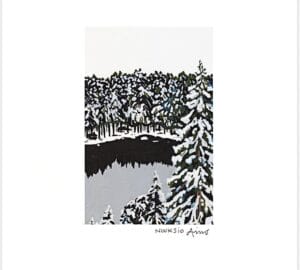 Talvimaisema Nuuksion kansallispuistossa, lumisia puita ja järvi.