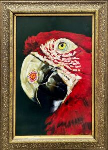 Kuvakehystetty värikäs papukaija maalaus