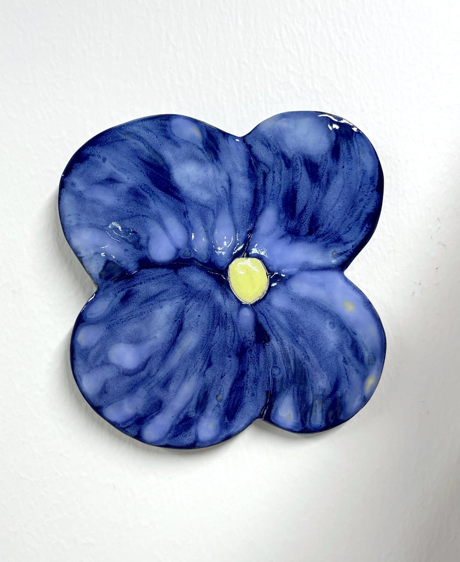 Sininen kukkatiiviste keltainen keskus, valkoinen tausta.