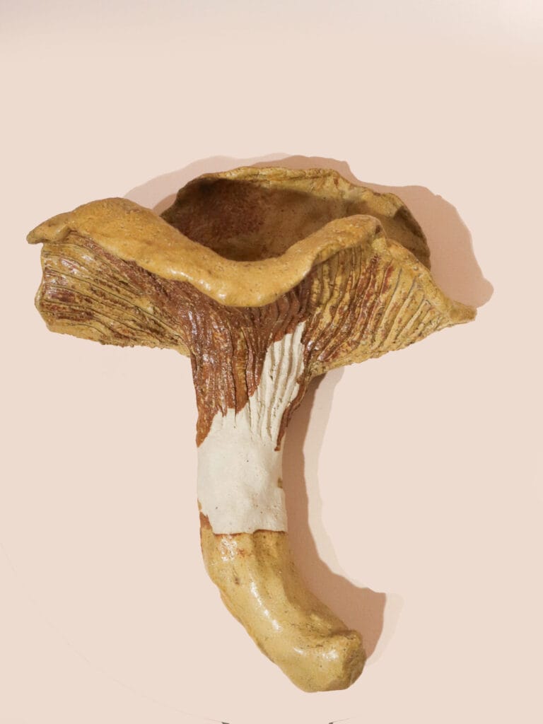 Keramiikkasieni, beige tausta, luonnon inspiroima taide