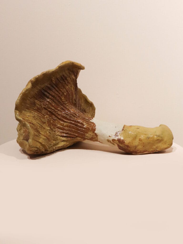 Savesta muotoiltu sieni, esillä taidegalleriassa.