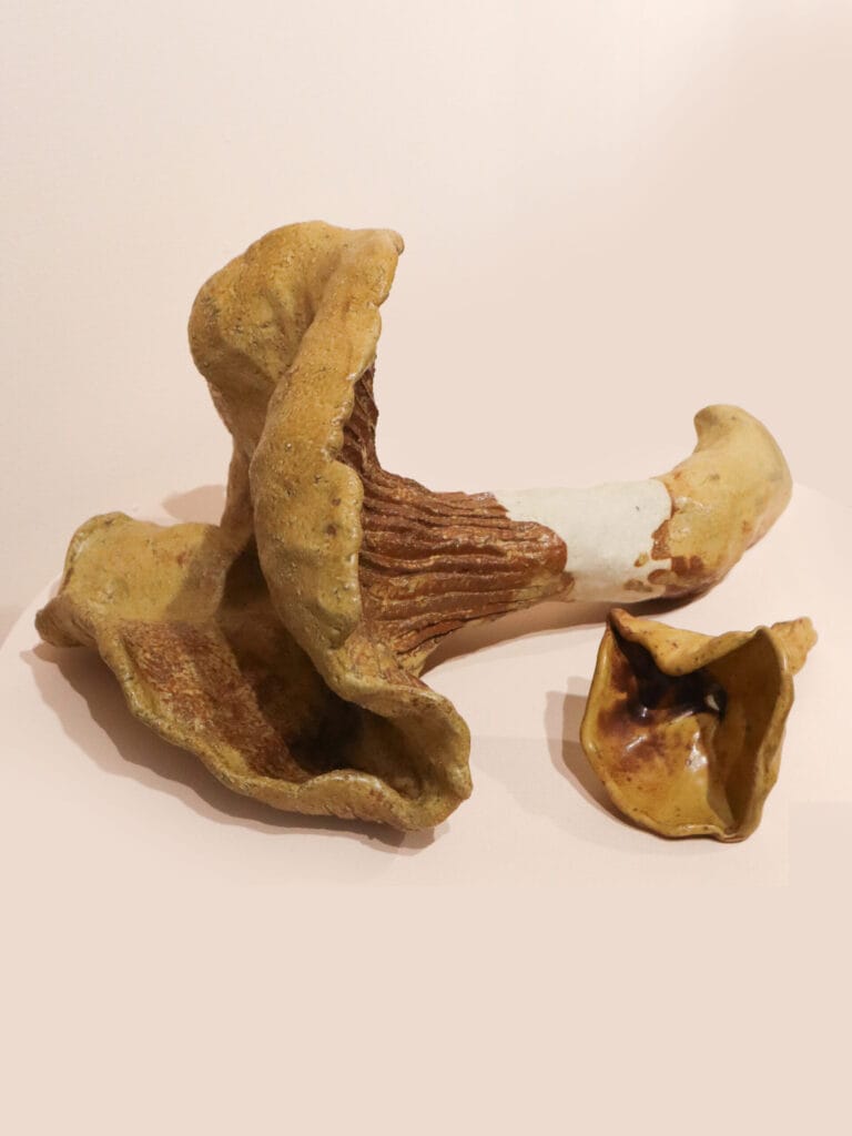 Sieniveistos näyttelyssä vaalealla taustalla