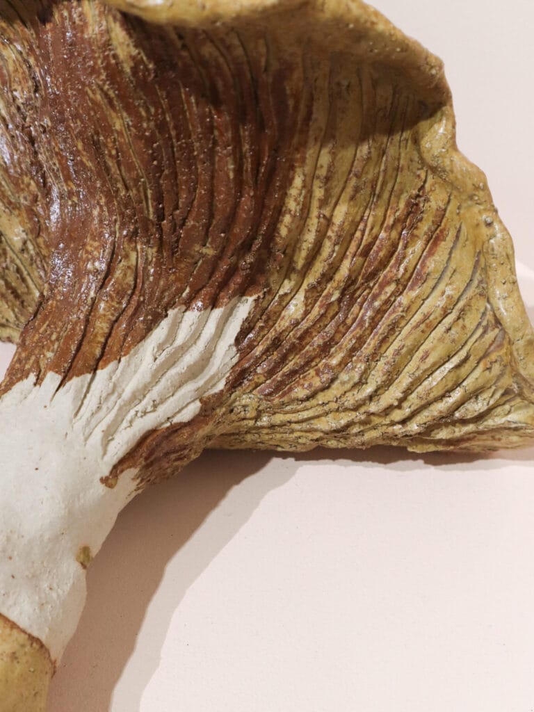 Keramiikkateos, sienimuoto ja syvät uurteet