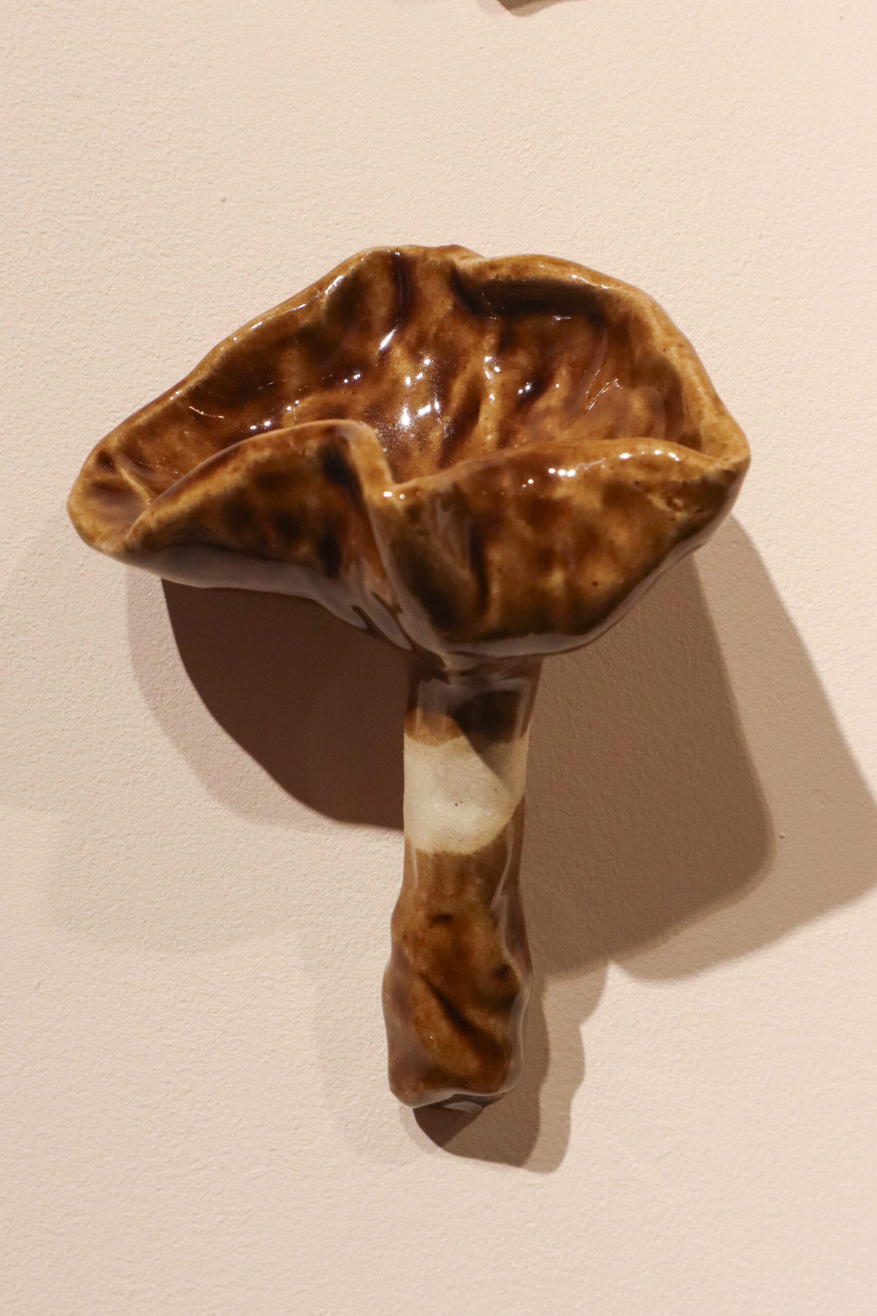 Keraaminen sieni seinällä