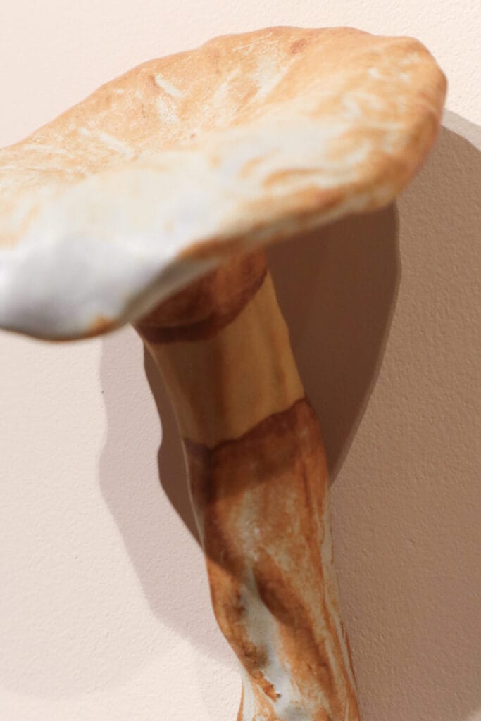 Sienen muotoinen veistos seinällä