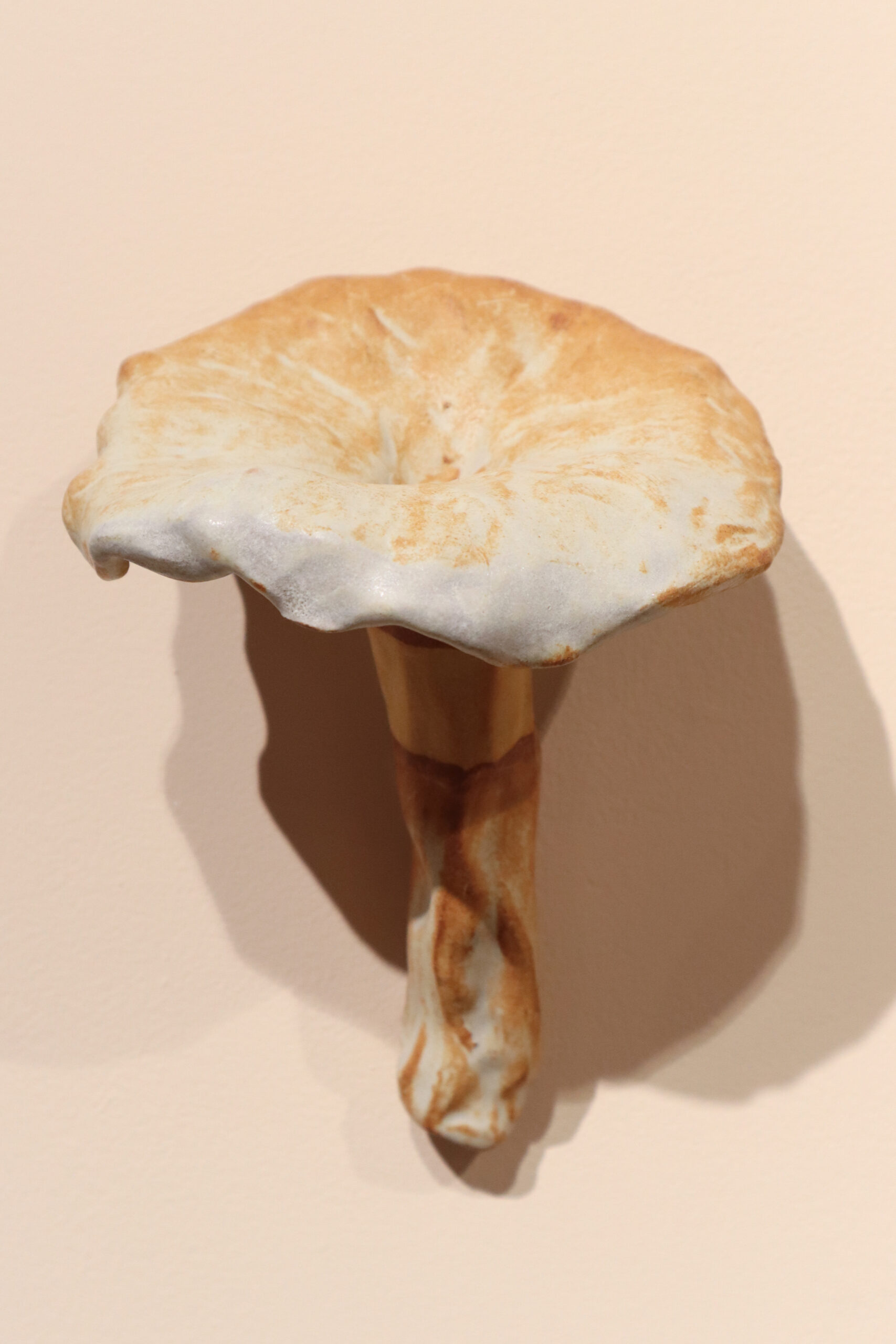 Keraaminen torvisieni vaalean taustalla