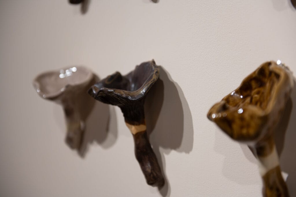 Keraamiset sienet seinällä näyttelyssä