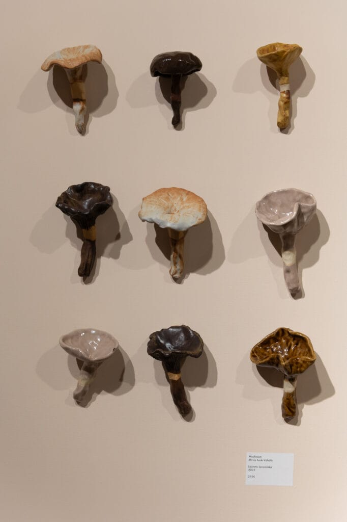 Keraamisia sieniä seinällä taideteoksena.