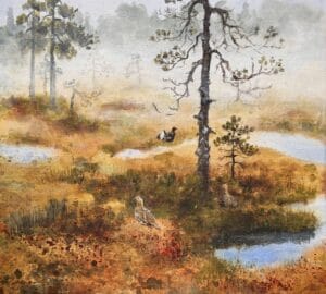 Suometsän syksymaisema sumuisena aamuna