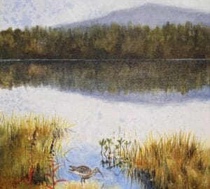 Lintumaalaus järven rannalla, metsä taustalla.