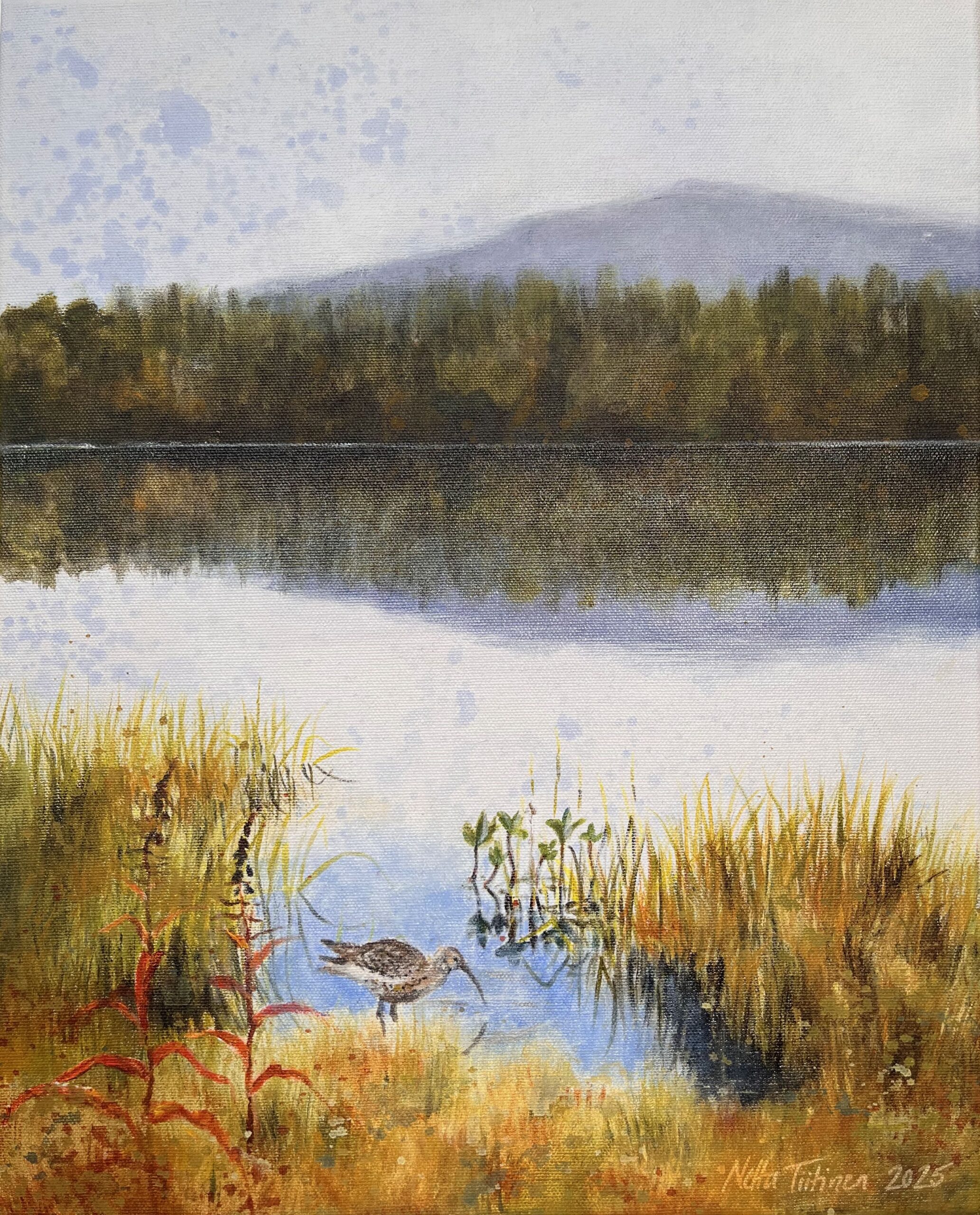 Lintumaalaus järven rannalla, metsä taustalla.