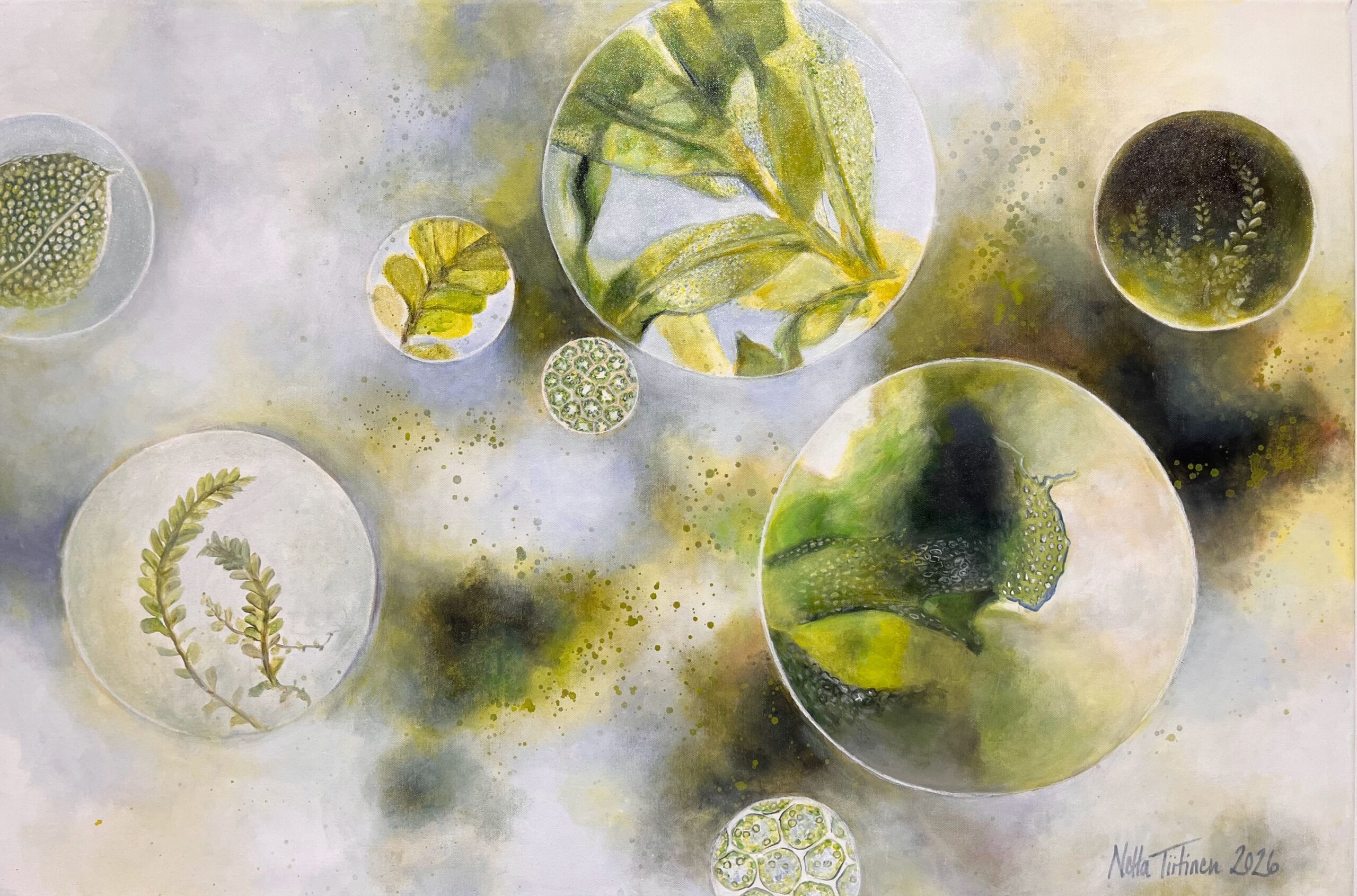 Luonnon kasvit mikroskoopin linssien läpi