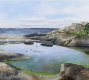 Maisema joutsenineen kalliorannalla