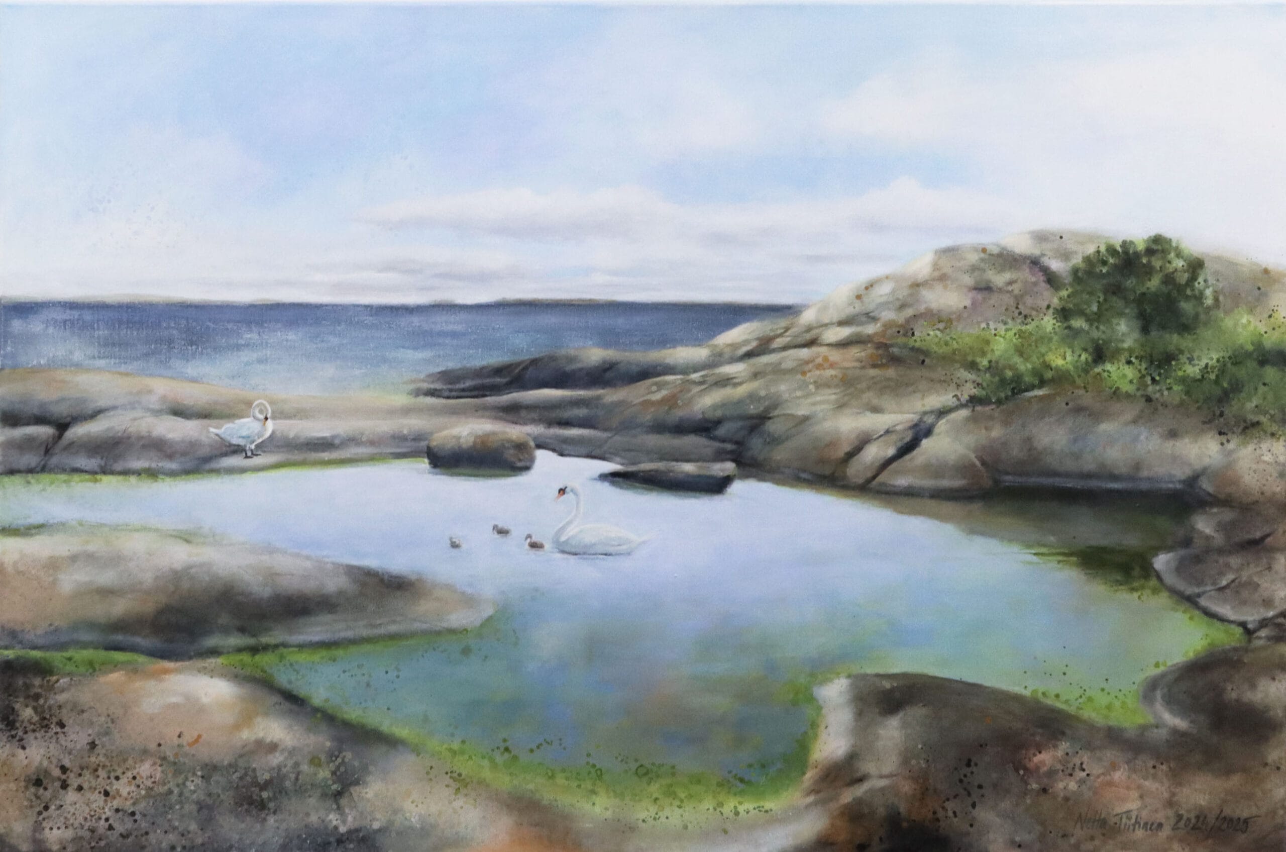 Maisema joutsenineen kalliorannalla